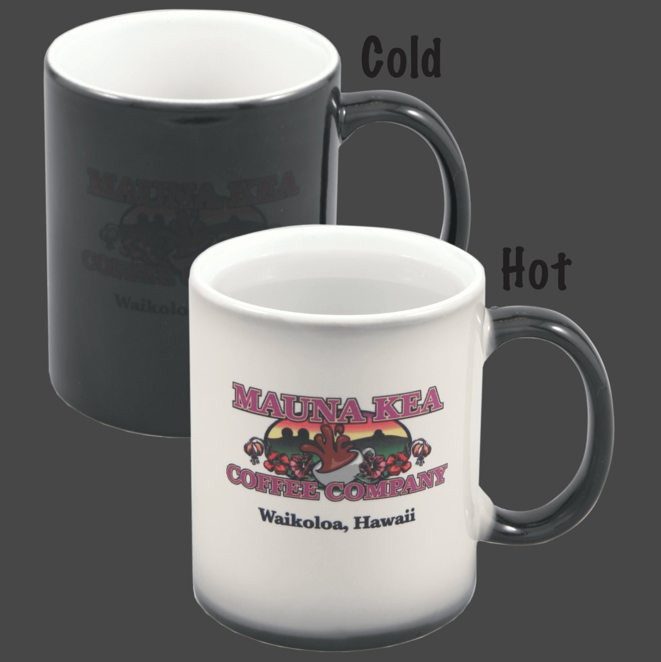 11oz Color Changing Mug Customizable