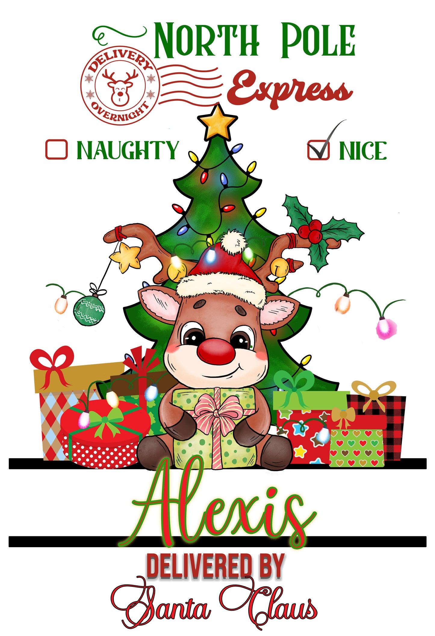 Personalized Christmas Santa Sacks