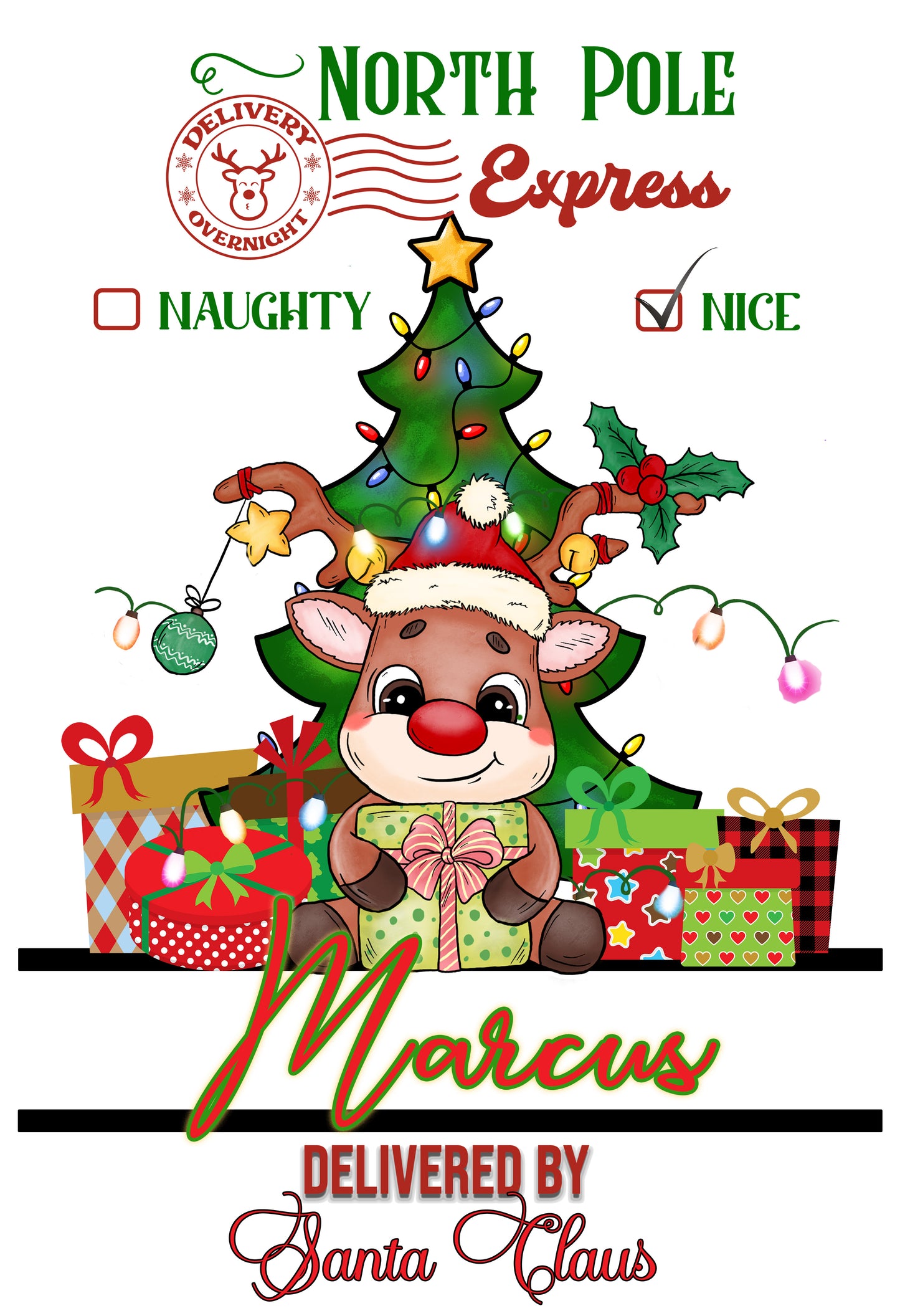 Personalized Christmas Santa Sacks